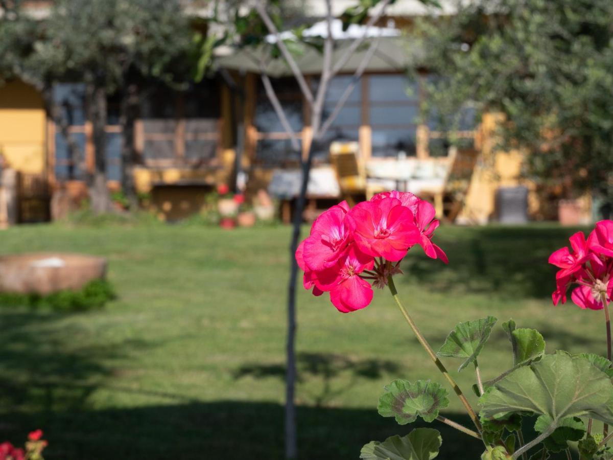B&B Casa Decimo Greve in Chianti Εξωτερικό φωτογραφία